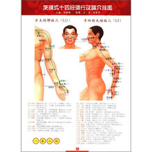 便携式十四经循行及腧穴挂图