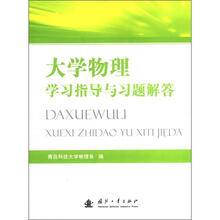 （山东中鼎）大学物理学习与解题指导
