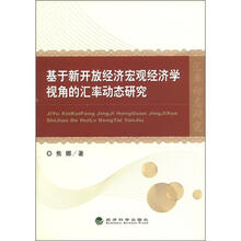 基于新开放经济宏观经济学视角的汇率动态研究