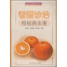 看图诊治柑桔病虫害