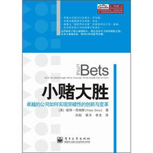 小赌大胜: 卓越的公司如何实现突破性的创新与变革