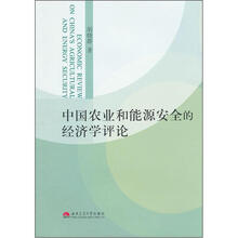 中国农业和能源安全的经济学评论