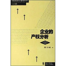 企业的产权分析