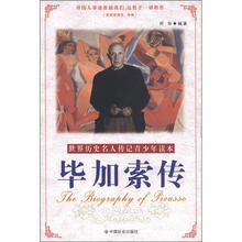 毕加索传
