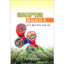 花生高产高效栽培新技术