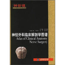 神经外科临床解剖学图谱