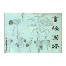 画鹤图谱