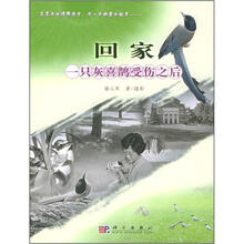 回家：一只灰喜鹊受伤之后