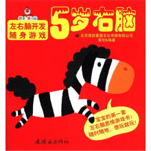 左右脑开发随身游戏：5岁右脑