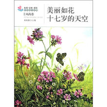 美丽如花·十七岁的天空