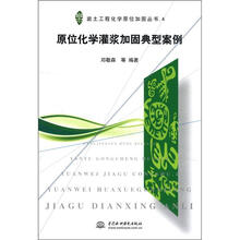 岩土工程化学原位加固丛书（4）：原位化学灌浆加固典型案例