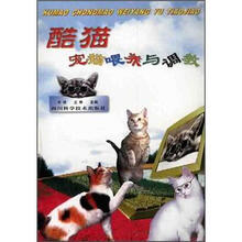 酷猫宠猫喂养与调教