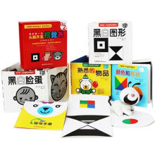我的第一本头脑开发视觉书(套装共4册)
