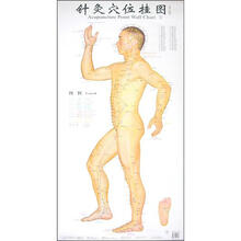 针灸穴位挂图（真人版·套装共3张）