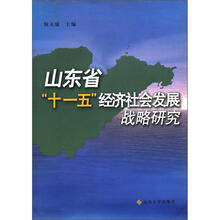 山东省十一五经济社会发展战略研究