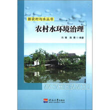 新农村与水丛书：农村水环境治理