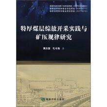 特厚煤层综放开采实践与矿压规律研究