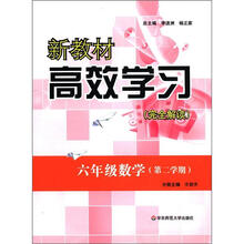 新教材高效学习完全解读：6年级数学（第2学期）