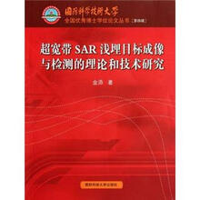 超宽带SAR浅埋目标成像与检测的理论和技术研究