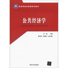 公共经济学（新体系经济管理系列教材）