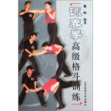 詠春拳高级格斗训练