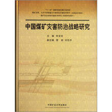 中国煤矿灾害防治战略研究