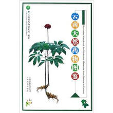 云南天然药物图鉴(第2卷)