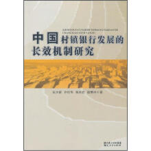 中国村镇银行发展的长效机制研究