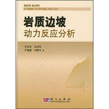 岩质边坡动力反应分析