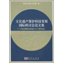 文化遗产保护科技发展国际研讨会论文集