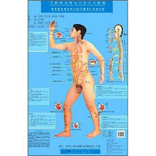 中华针刀.水针刀微创治疗学挂图
