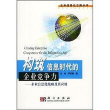 构筑信息时代的企业竞争力：企业信息化战略及其应用