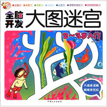 金童良书：全脑开发大图迷宫（2-3岁入门）