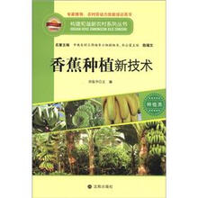香蕉种植新技术