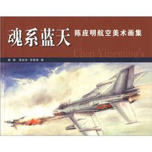 魂系蓝天:陈应明航空美术画集