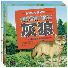 食物链中的秘密（套装共4册）