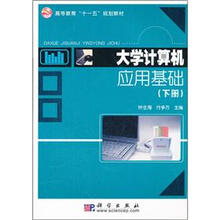 大学计算机应用基础（下册）