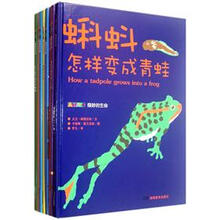 奇妙的生命(套装共8册)
