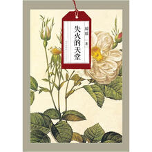 琼瑶自选集：失火的天堂