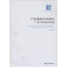 经济管理学术文库·经济类·产业集群升级研究：基于链风耦合的视角