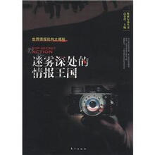 绝密行动丛书：迷雾深处的情报王国
