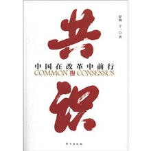 共识：中国在改革中前行