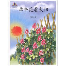 牵牛花看太阳