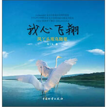 我心飞翔