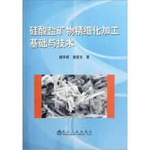 硅酸盐矿物精细化加工基础与技术