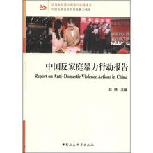反对家庭暴力理论与实践丛书:中国反家庭暴力行动报告