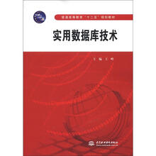 实用数据库技术(普通高等教育“十二五”规划教材)
