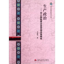 生产政治:中小型私营企业劳动关系研究