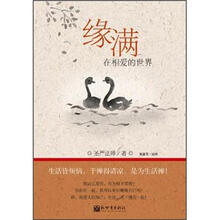 缘满:在相爱的世界