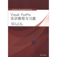 高等学校计算机基础教育教材精选：Visual Foxpro实训教程与习题